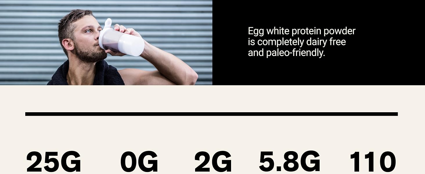 egg powder protein isolate