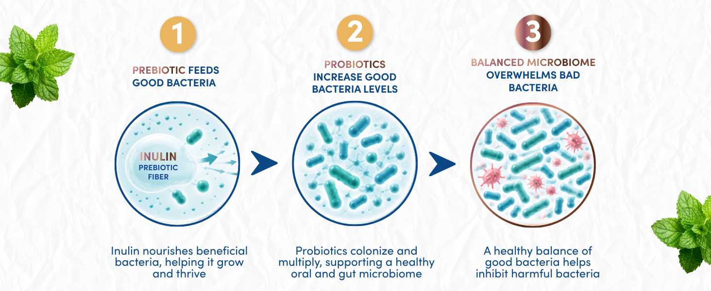 Dental Probiotics for Teeth and Gums - Lactobacillus Salivarius Acidophilus Casei - Oral Probiotics