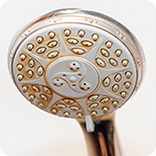 Clogged Shower Heads
