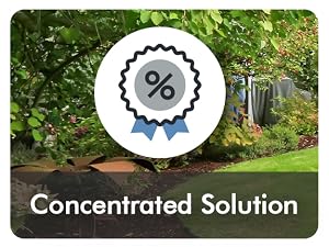 Concentrated Solution