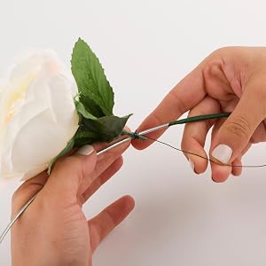 aplus content image