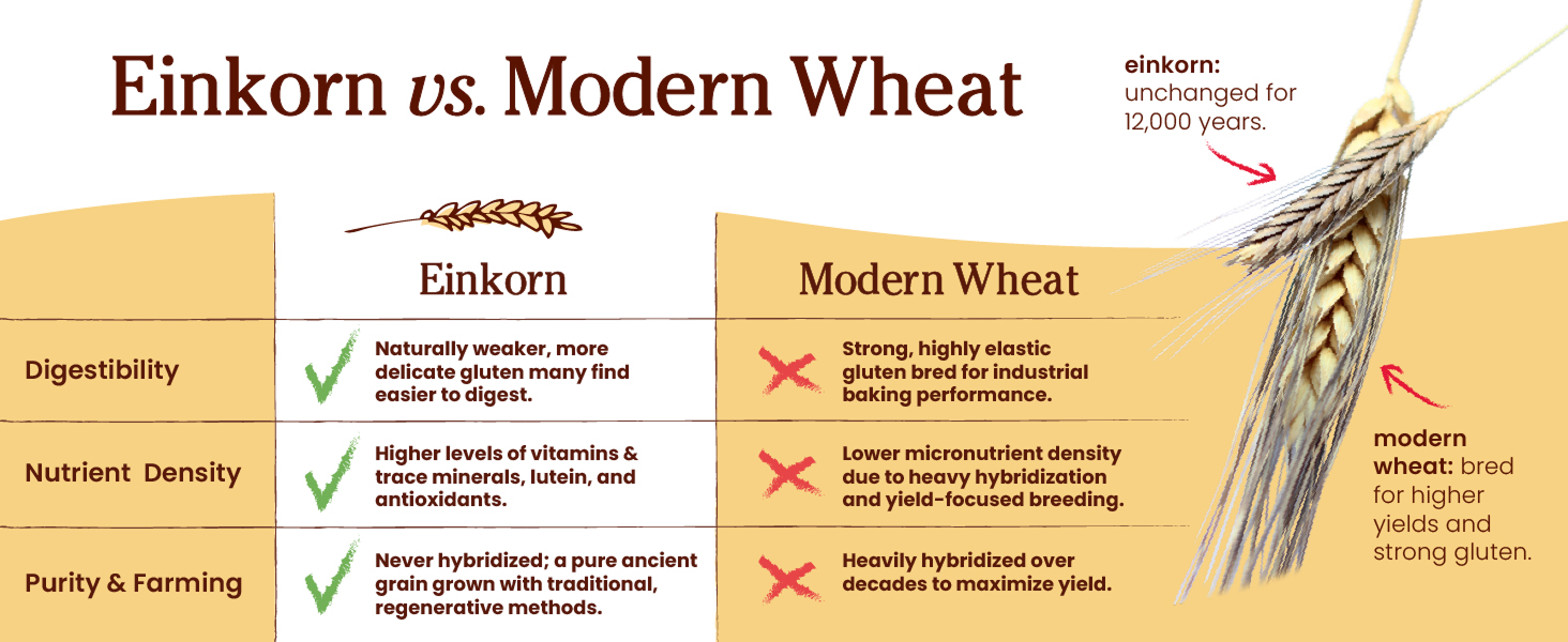 organic flour,organic flour all purpose,unbleached organic flour,all purpose flour,organic