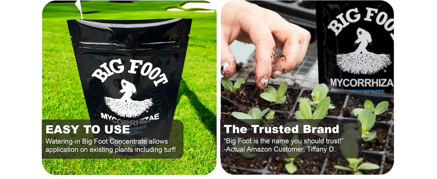 Mycorrhizal fungi improve root systems and plant resilience.