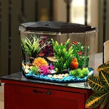 koller products fish tanks
