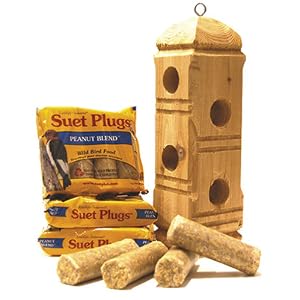 Suet plugs and suet plug feeder