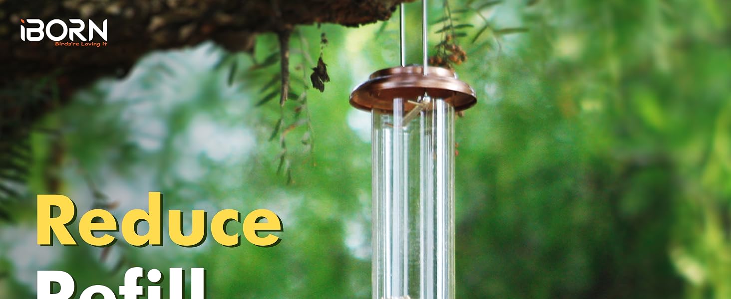 bird feeder