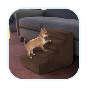 Image of cat ramp.