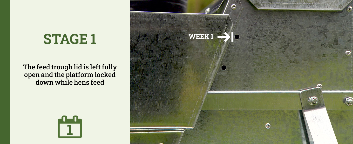 grandpas feeders automatic chicken galvanized steel poultry feeders rat proof no spill weatherproof