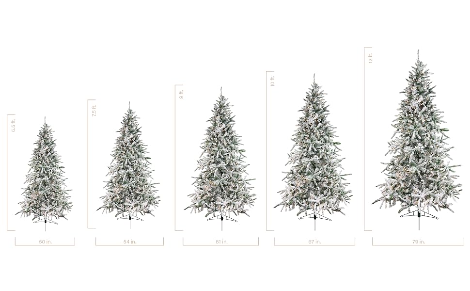 Mountain Pine Christmas Tree Collection