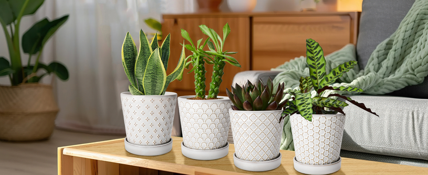 Ceramic Flower Pots