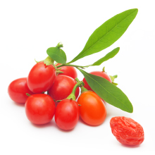 Berry Vision Complex