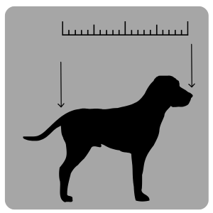 How to measure your dog