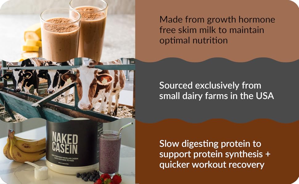 casein hydrolyzed; chocolate casein protein powder; nutrition casein protein; micellar powder