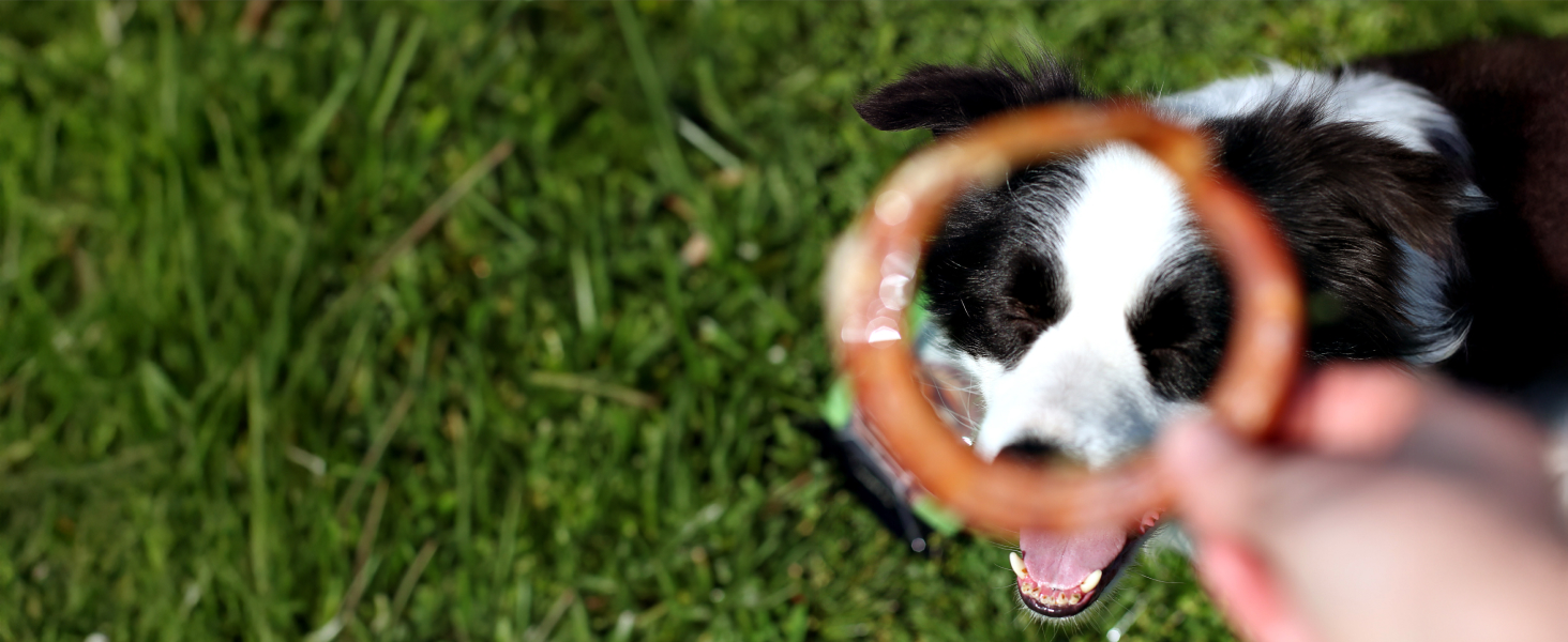 dental chews for clean teeth and fresh breath