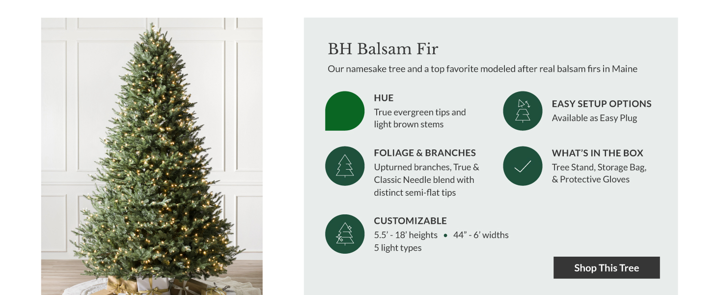 Balsam Hill BH Balsam Fir is our namesake tree modeled after the real balsam firs in Maine
