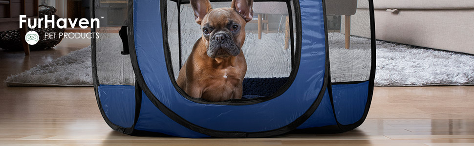 furhaven; company; banner; lifestyle; logo; icon; dog; puppy