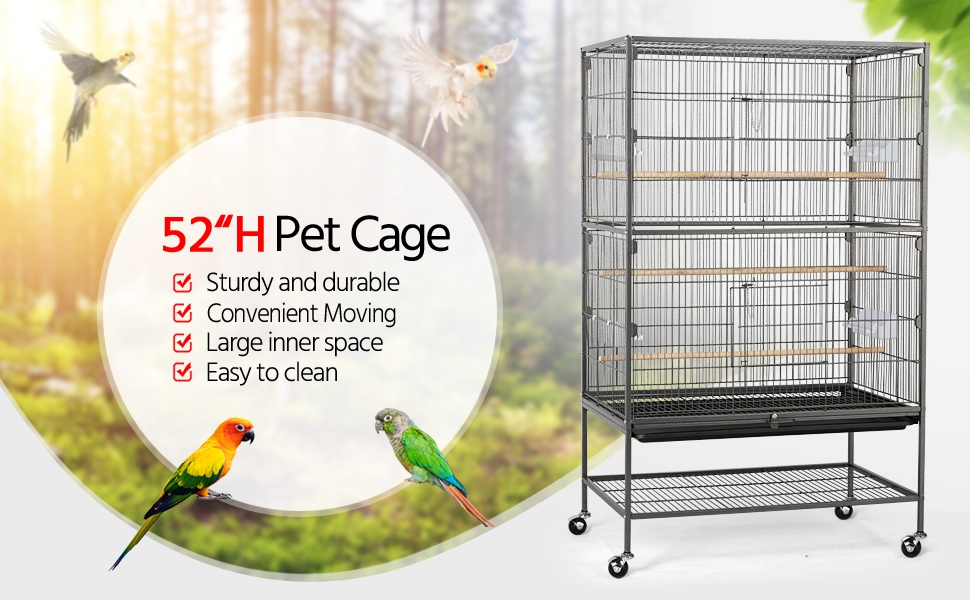 bird cage