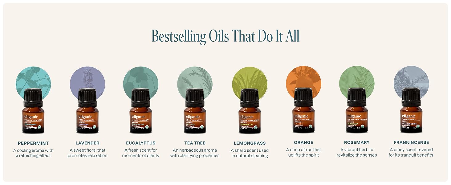 Bestselling Oil That Do It All