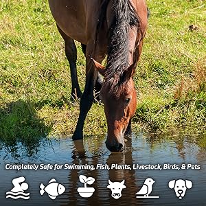 pond muck remover