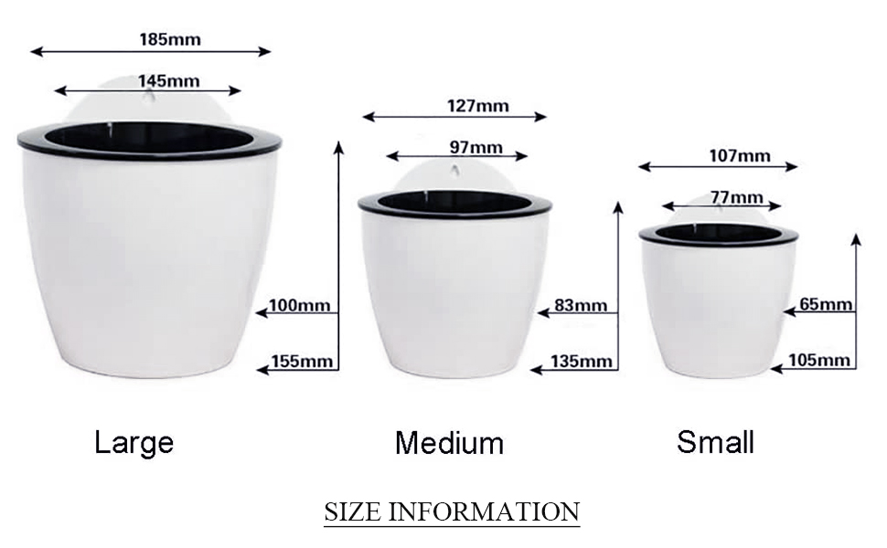 size information