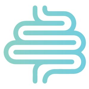 digestion probiotcs prebiotics