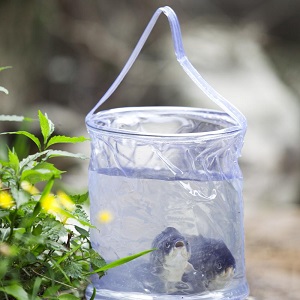 Food Storage Bucket