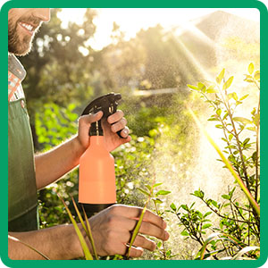 high nitrogen low preventer plus growing trees boxwood farms beat manure live simplicity booster
