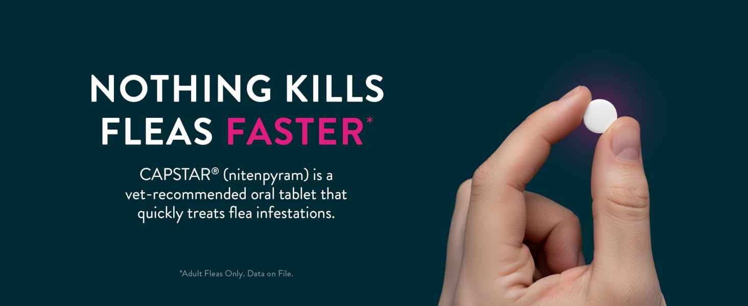 Nothing kills fleas faster Capstar cat
