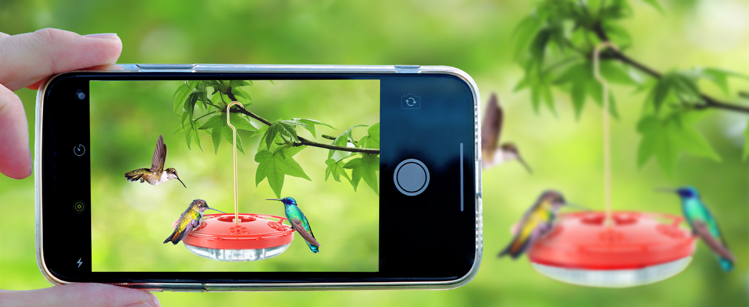 humming bird feeder