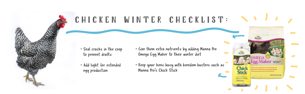 chicken winter checklist seal cracks in the coop add light for extended egg incubation