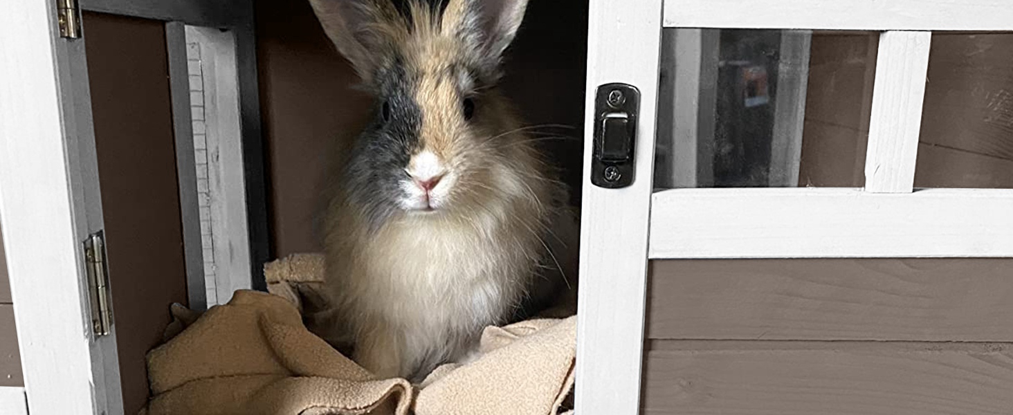 rabbit hutch