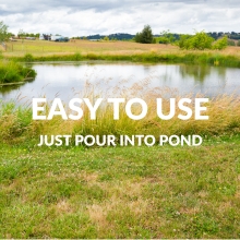 Easy to use, just pour into pong