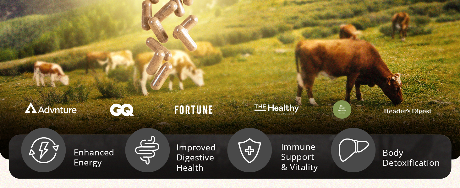 ancestral beef organs supplements for men natural iron supplement mineral super