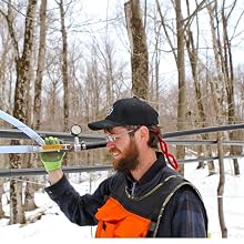 runamok, maple syrup, sugarbush, maple trees, harvest