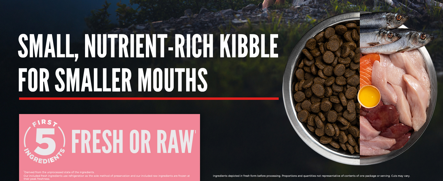 ORIJEN Small Breed Dog Food, Nature Nourishes
