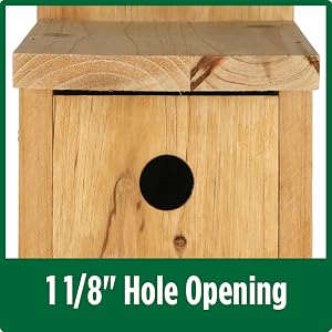 HOLE