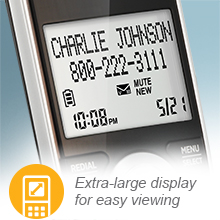 large display