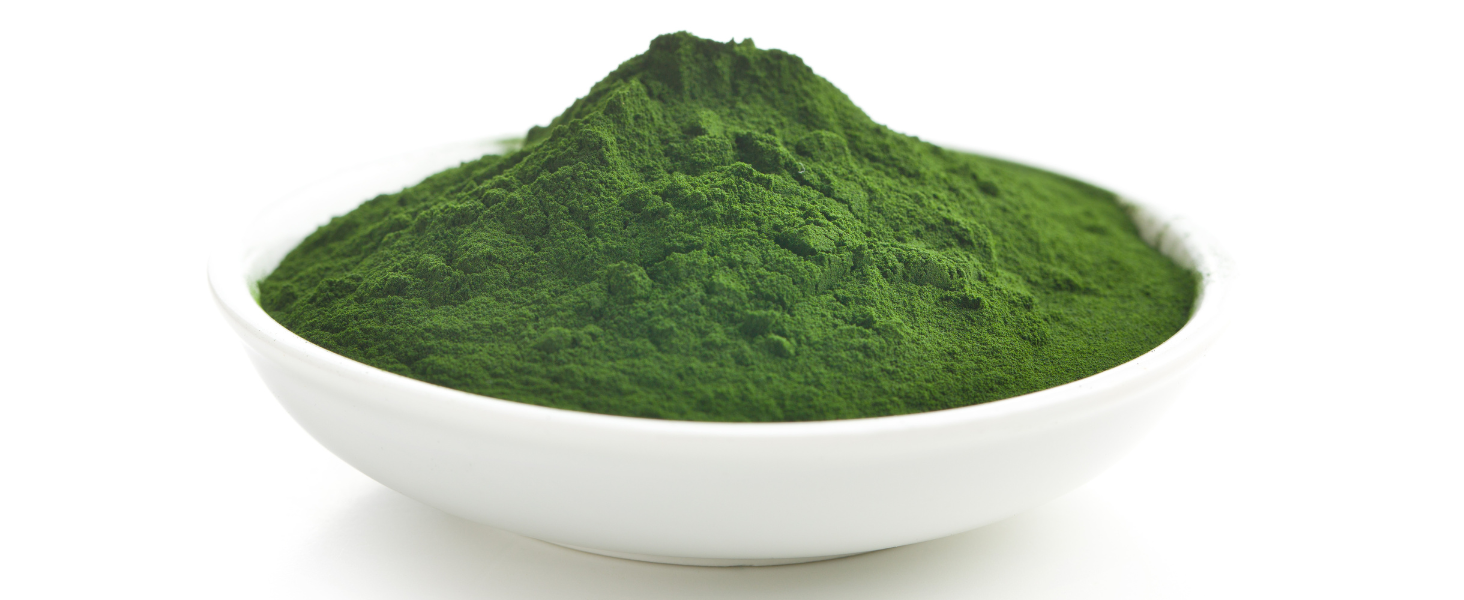 chlorella