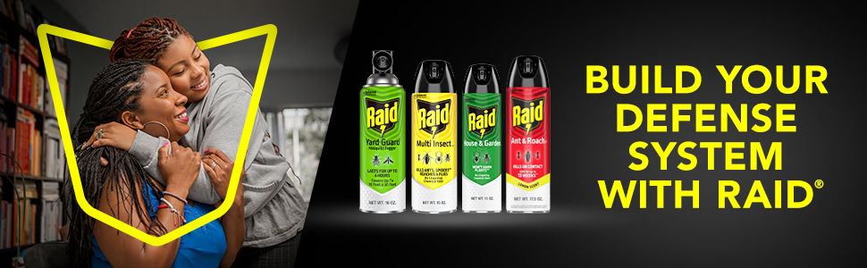 Build your defense systems with Raid