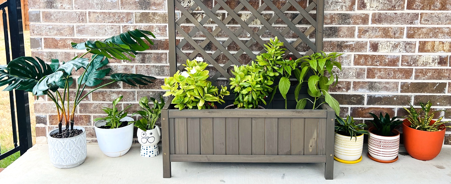 Garden Planter with Trellis