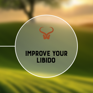 Improve Histamine Metabolism