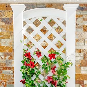 CLASSIC Kensington Planter Box &amp;amp;amp; Trellis VA68221