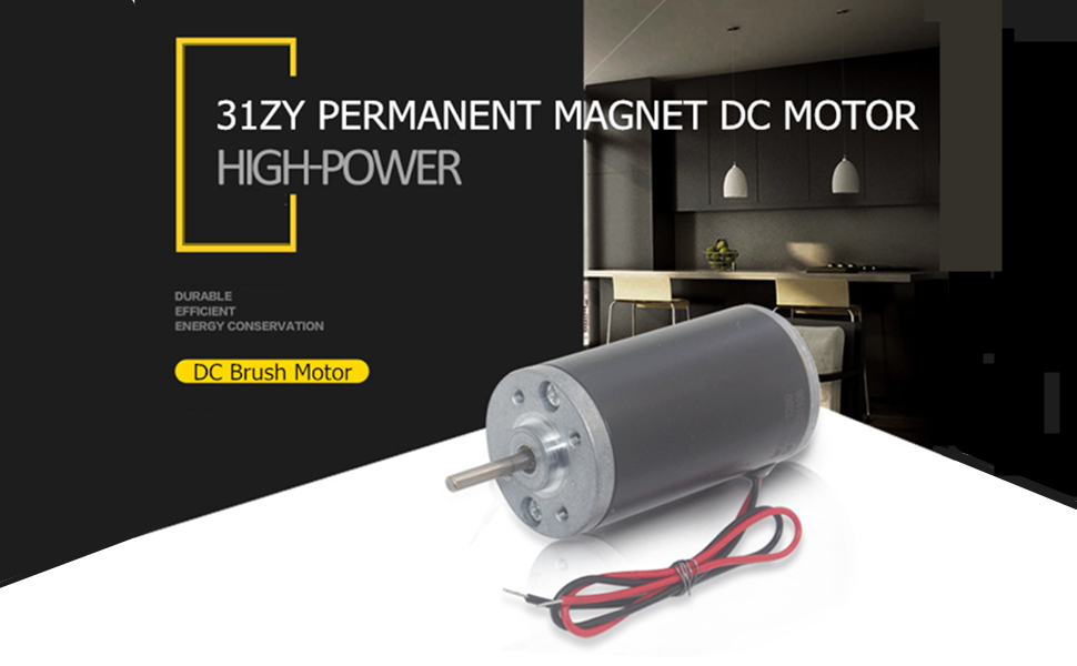 DC Brush Motor