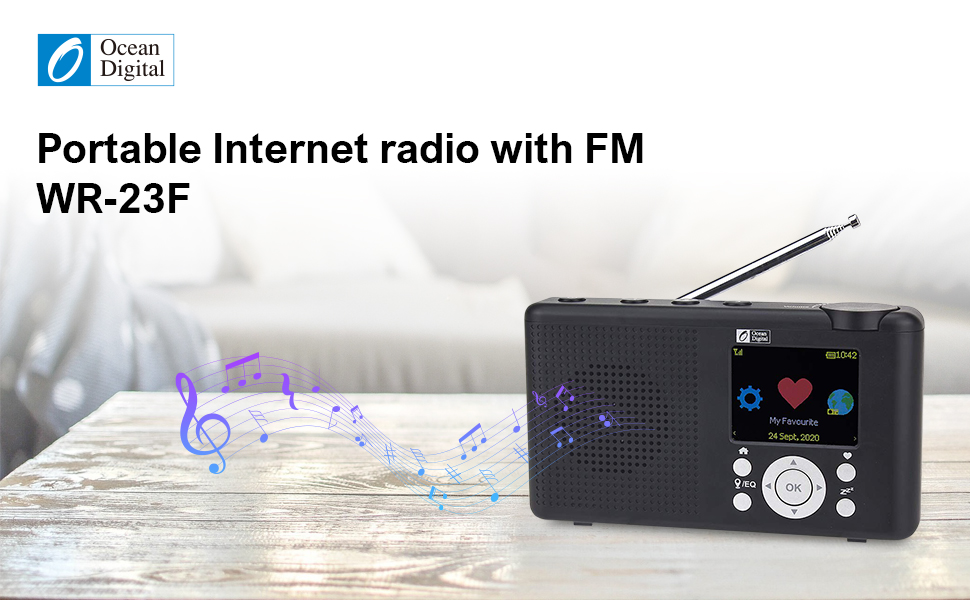Portable Internet Radio with FM