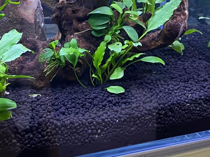 LANDEN Soil