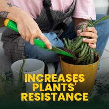 Granular Plus Myco, All-In-One Fertilizer, Organic Root Stimulator Plant Food with Mycorrhizae