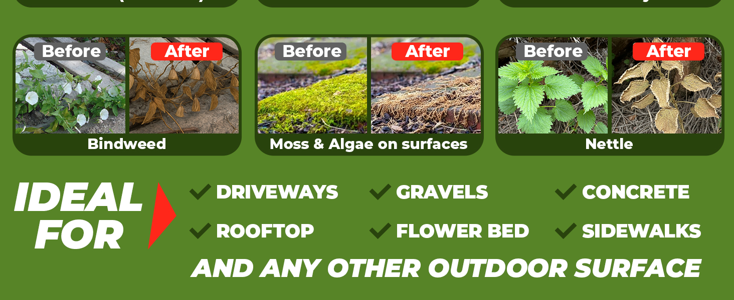 Organic Vinegar Weed Killer