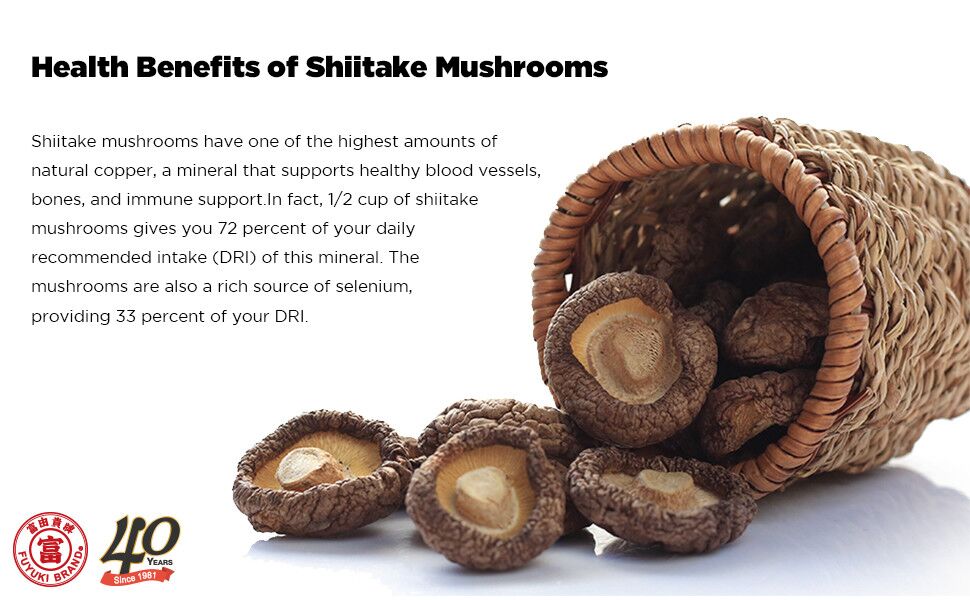 Dried Mushrooms Dried Shiitake Mushrooms