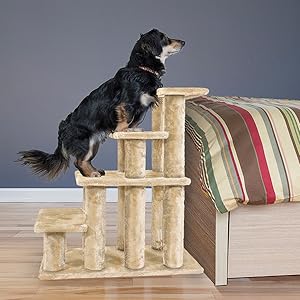 dog; pet; stairs; height; bed; mobility; assist