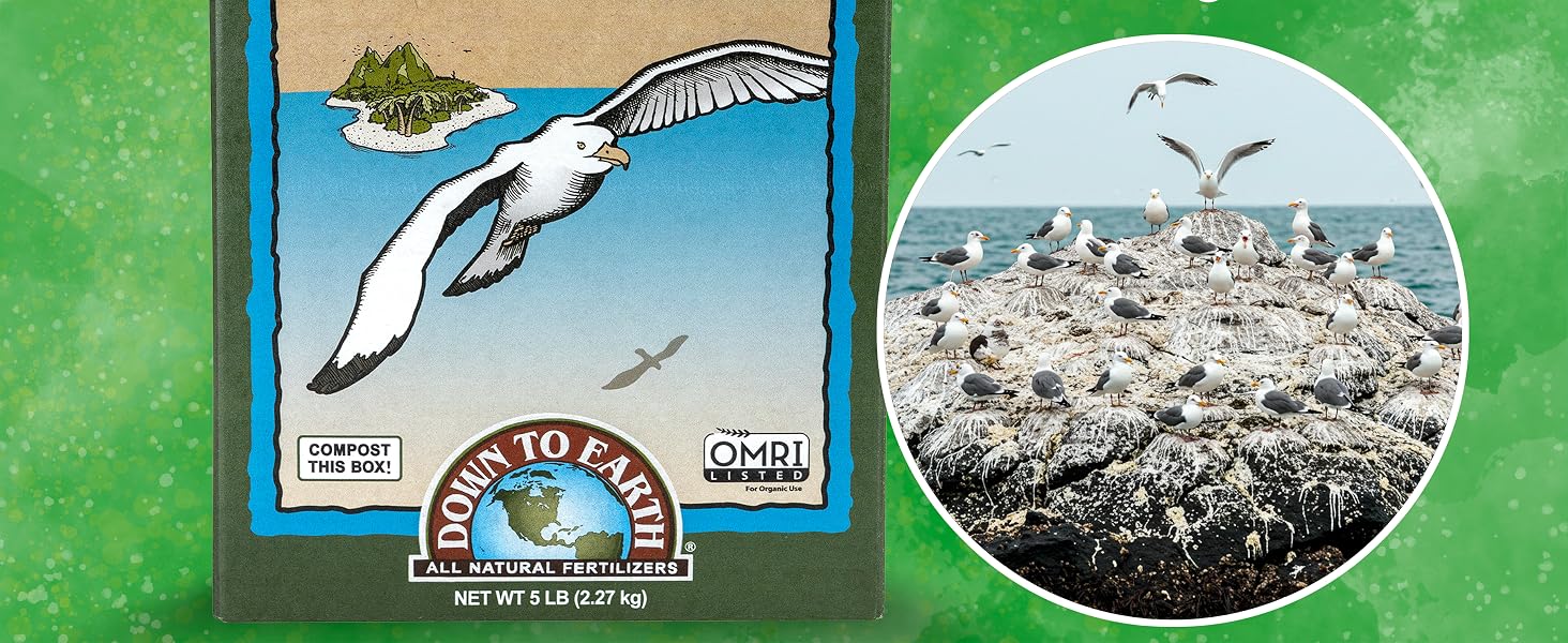 Seabird Guano 2
